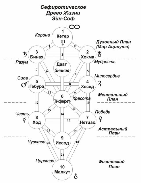 Схема древа жизни