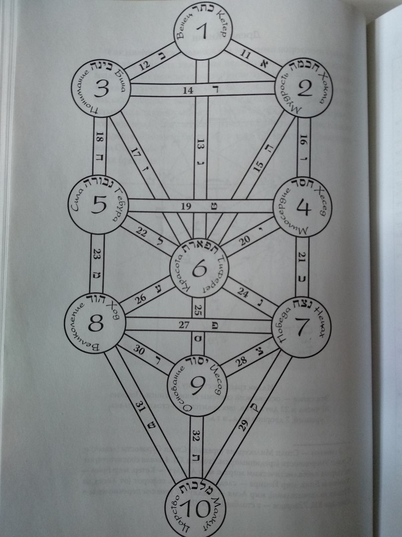 Древо сефирот. Древо 10 Сфирот. 10 Сефирот древа жизни. Древо жизни 10 Сфирот. Древо Сефирот Кроули.
